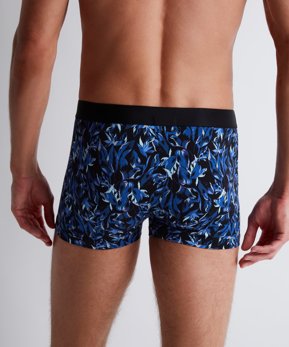 Fleur bleue Fleur bleue